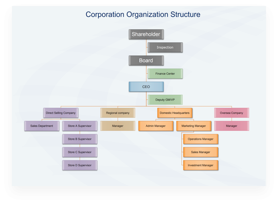 Corporation Org Structure