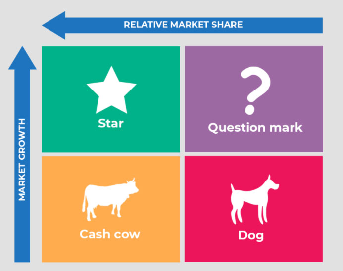 BCG Matrix Example