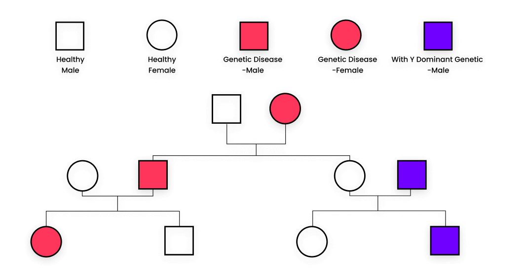 Genogram Maker