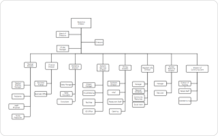 Hospital Organizational Chart