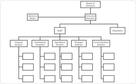 Non-profit Organizational Chart