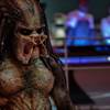 Predator Sequel to Drop on Hulu in Summer 2022