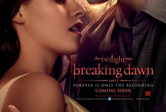 The Twilight Saga: Breaking Dawn - Part 1