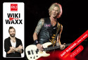 Duff McKagan le bassiste des Guns N' Roses