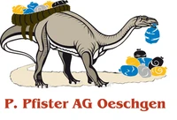 Peter Pfister AG logo