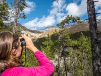 Schweizerischer Nationalpark - Klicken Sie, um das Bild 6 in einer Lightbox vergrössert darzustellen