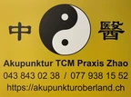 Akupunktur TCM Oberland Praxis Zhao