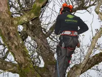 VERTUOSE Parcs et Jardins Sàrl – Cliquez pour agrandir l’image 15 dans une Lightbox