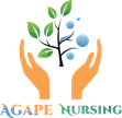 Agape Nursing Sagl