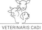 Veterinaris Cadi GmbH