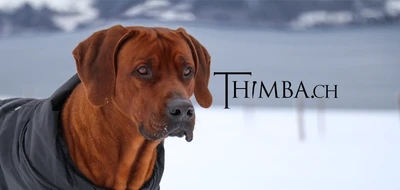 Thimba GmbH