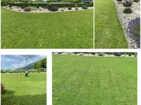 HRG Hauswartung - Reinigung - Gartenunterhalt – Cliquez pour agrandir l’image 1 dans une Lightbox