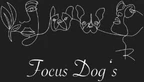 Focus Dogs Hundeschule KlG