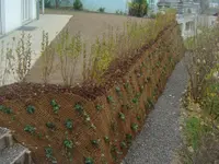 Faes Gartenbau GmbH - cliccare per ingrandire l’immagine 4 in una lightbox