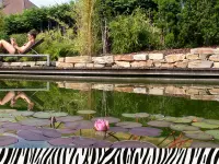 Zebra AG Garten & Pool - cliccare per ingrandire l’immagine 2 in una lightbox