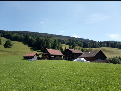 Restaurant Alp Altschwand