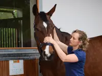 Equine Sports Medicine Services GmbH – click to enlarge the image 14 in a lightbox