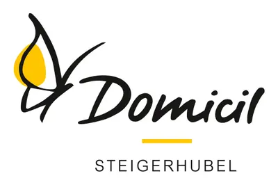 Domicil Steigerhubel