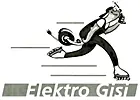 Elektro Gisi