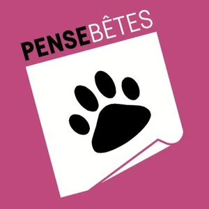 Boutique Pense-Bêtes