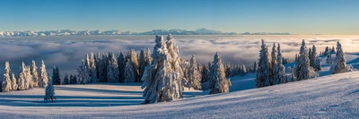 Schweiz. Patenschaft f. Berggemeinden