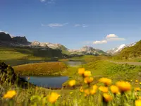 Elektrizitätswerk Obwalden – Cliquez pour agrandir l’image 11 dans une Lightbox