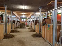 Danco Motti - Kutschenfarten & Museum - Klicken Sie, um das Bild 7 in einer Lightbox vergrössert darzustellen