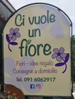 Ci vuole un fiore logo