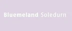 Bluemeland Soledurn GmbH