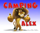 Camping Alex