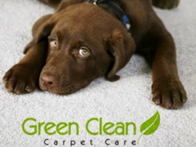 CARPET CARE SARL