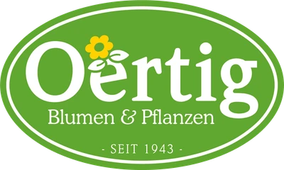 Oertig Blumen und Pflanzen Glattbrugg