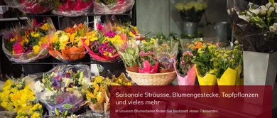 Blumen Haueter