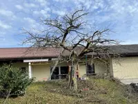 Alain Dutoit Jardinier-Paysagiste Sàrl - Klicken Sie, um das Bild 2 in einer Lightbox vergrössert darzustellen