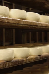 Fromagerie des Reussilles SA