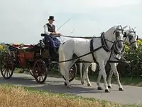 Köchli Heinrich - Klicken Sie, um das Bild 1 in einer Lightbox vergrössert darzustellen