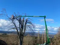 Alain Dutoit Jardinier-Paysagiste Sàrl - Klicken Sie, um das Bild 18 in einer Lightbox vergrössert darzustellen