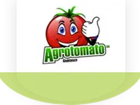 Agrotomato SA – click to enlarge the image 1 in a lightbox