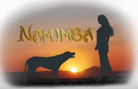 Logo Namimba