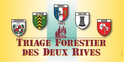 Triage forestier des deux Rives