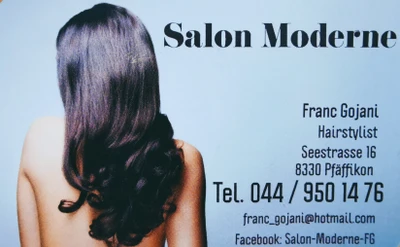 Salon Moderne