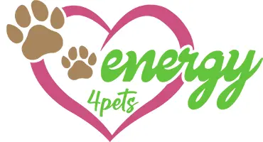 energy4pets Katja Schaalburg