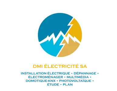 DMI ELECTRICITE SA