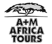 A + M Africa Tours GmbH logo