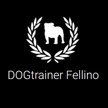 DOGtrainer Fellino