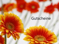 Blumen Maarsen AG – Cliquez pour agrandir l’image 9 dans une Lightbox