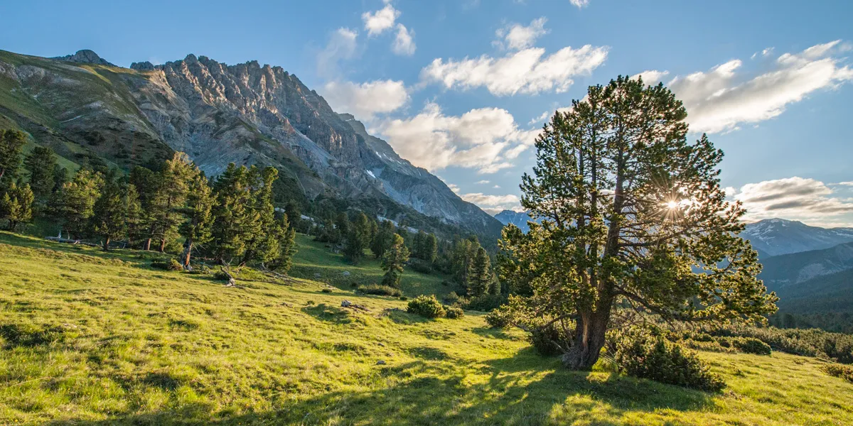 Schweizerischer Nationalpark