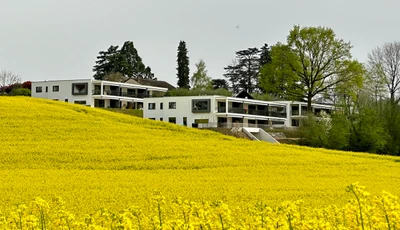 Dominique Baldi Entreprises SA