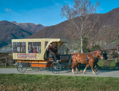 Scuderia Saliciolo - La Casa del Cavallo