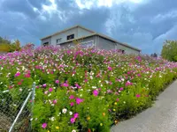 Sarrieu Paysagiste - Création & Entretien d'espaces verts – Cliquez pour agrandir l’image 23 dans une Lightbox